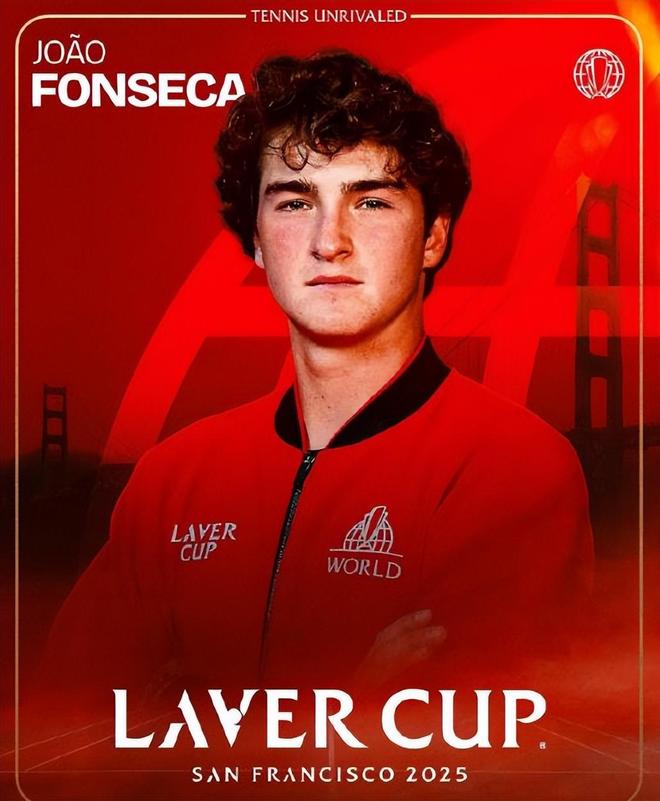 仅表达了对 仅表达了对